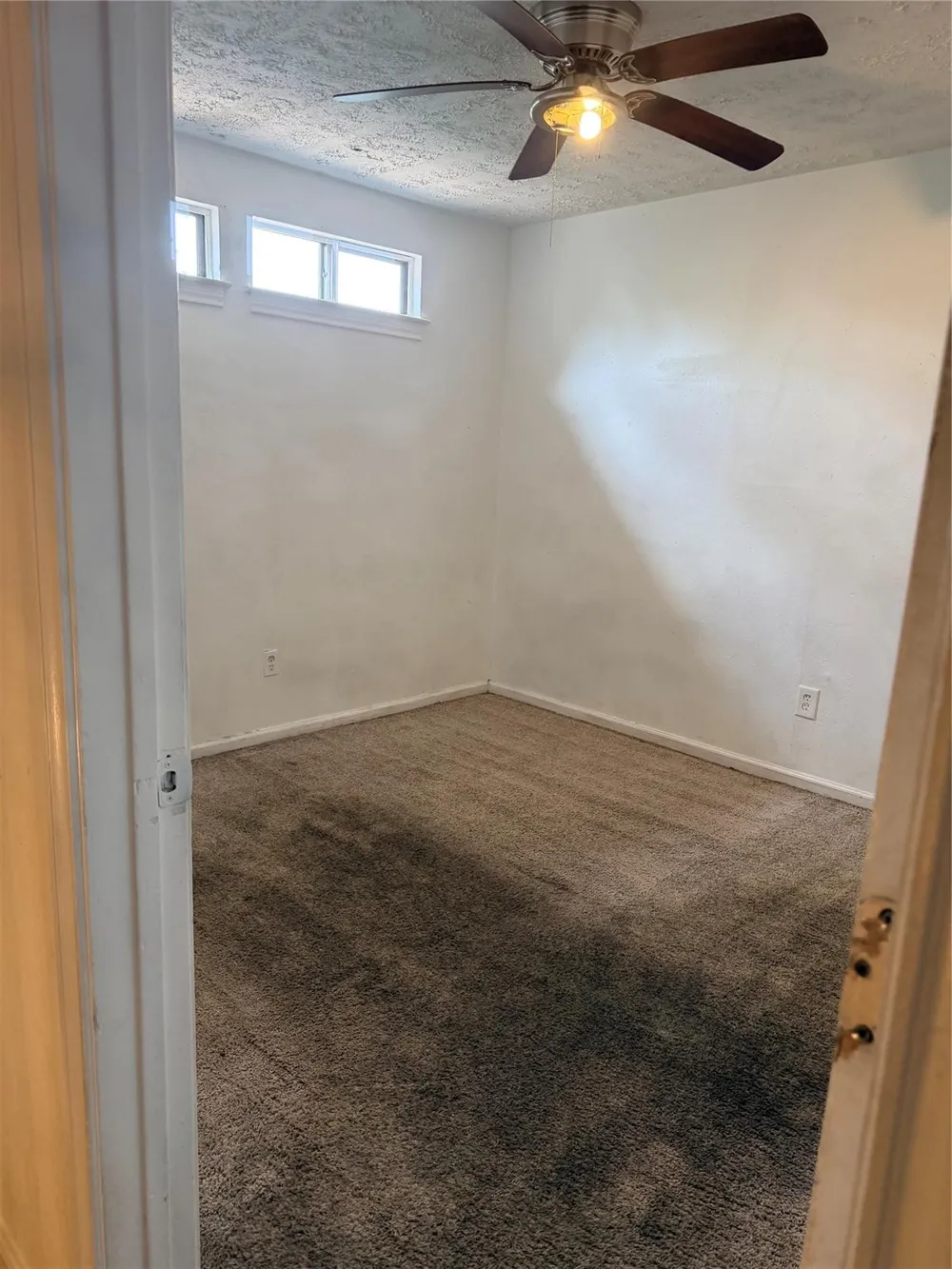 12246 Wild Pine Drive #C Houston, TX 77039