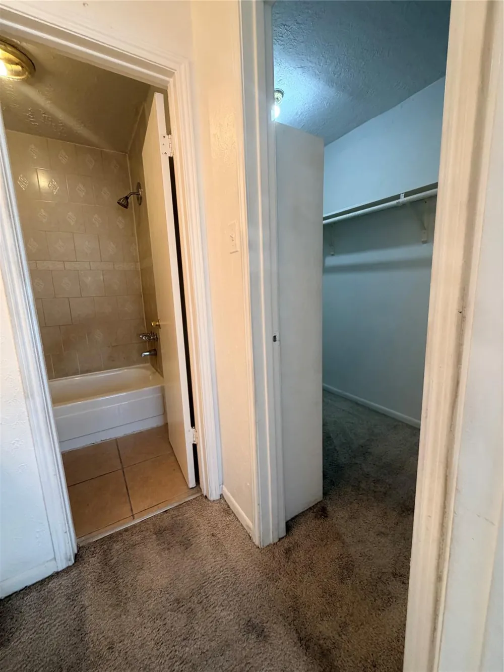 12246 Wild Pine Drive #C Houston, TX 77039