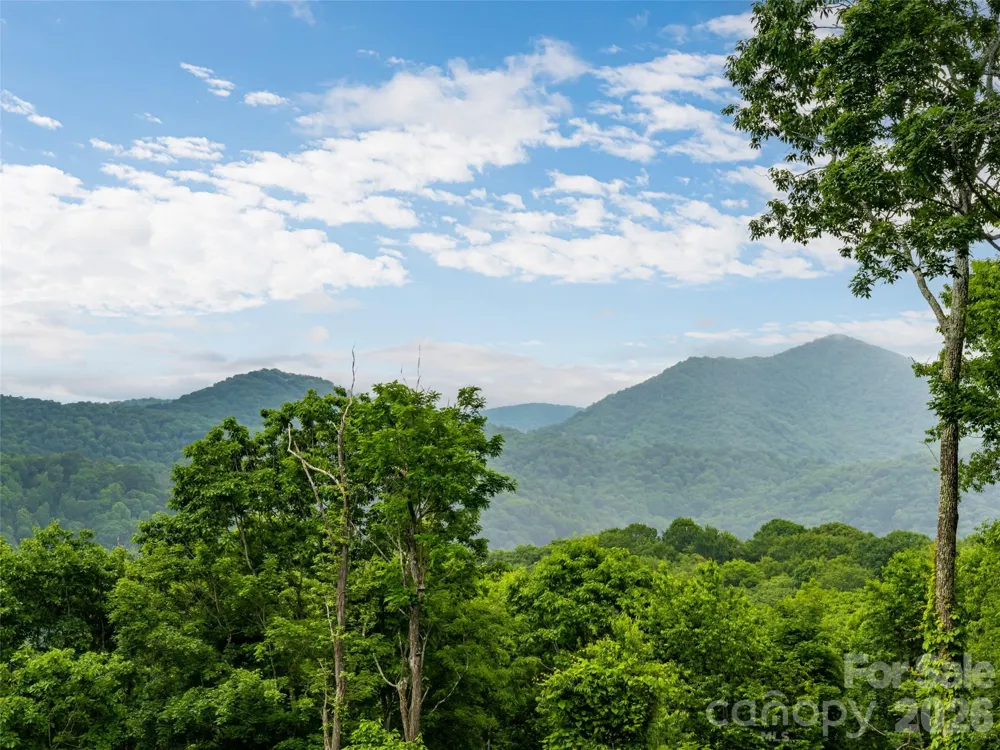 243 Pioneer Ridge Road Canton, NC 28716