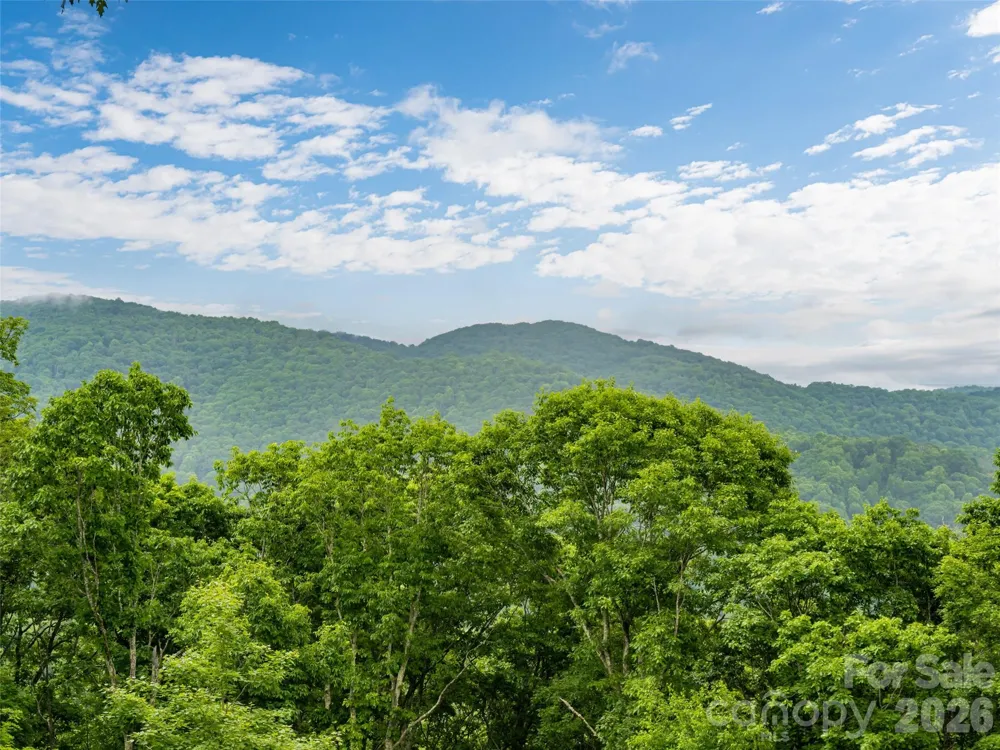 243 Pioneer Ridge Road Canton, NC 28716