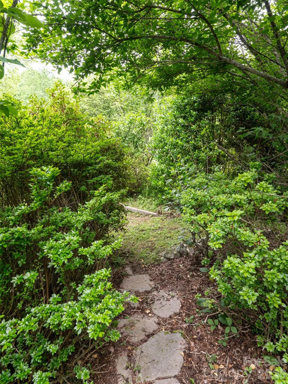 243 Pioneer Ridge Road Canton, NC 28716