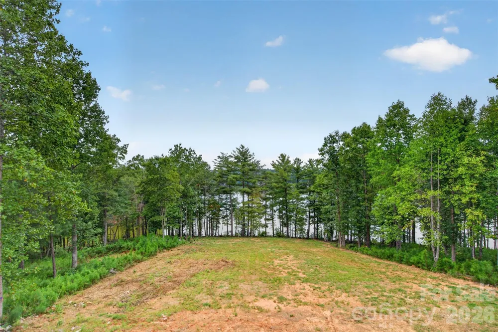 2199 Castle Peak Mountain Connelly Springs, NC 28612