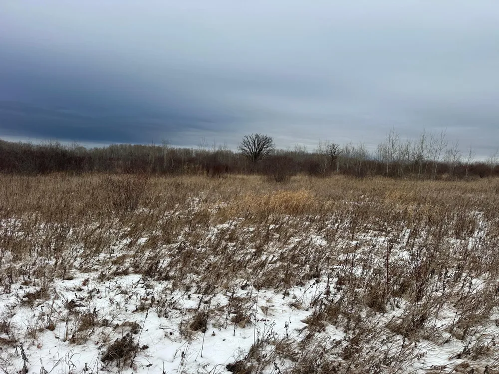 tbd 350th ave sw Lancaster, MN 56735