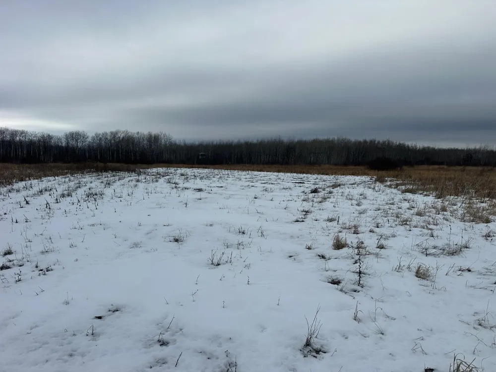 tbd 350th ave sw Lancaster, MN 56735