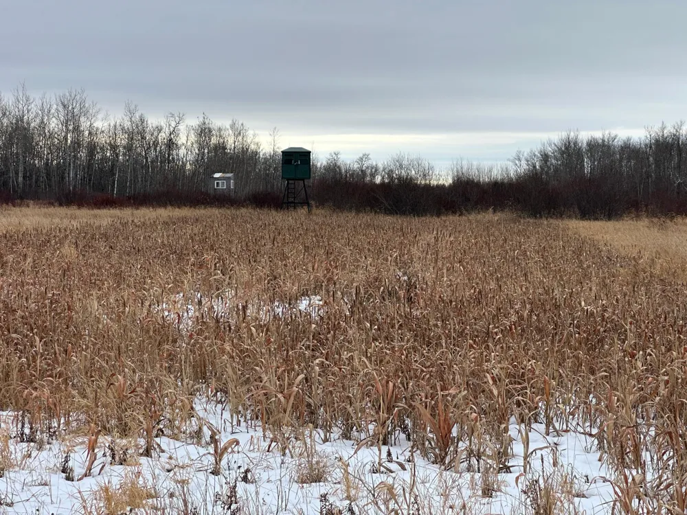 tbd 350th ave sw Lancaster, MN 56735
