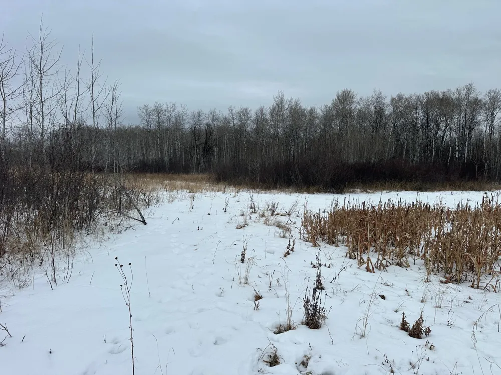 tbd 350th ave sw Lancaster, MN 56735