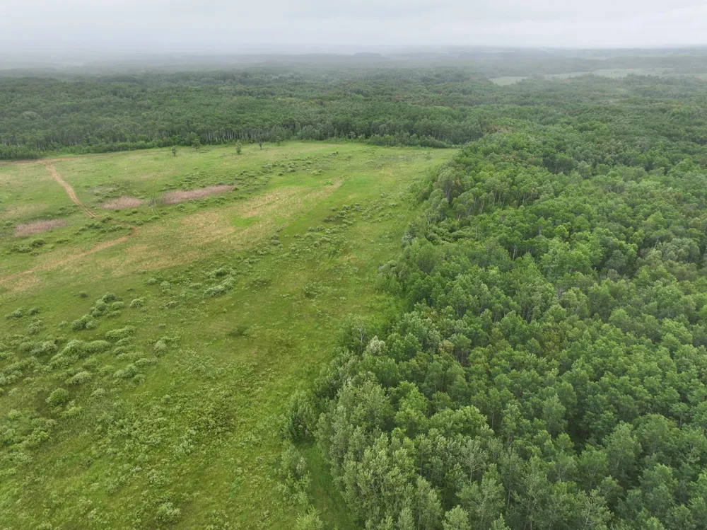 tbd 350th ave sw Lancaster, MN 56735