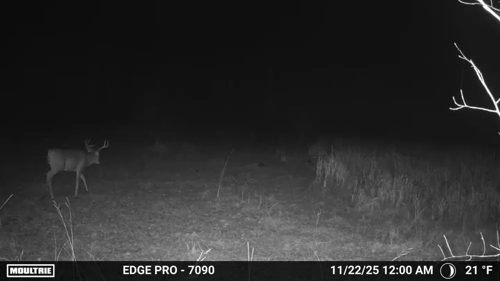 tbd 350th ave sw Lancaster, MN 56735