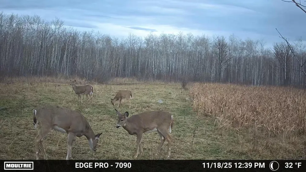 tbd 350th ave sw Lancaster, MN 56735