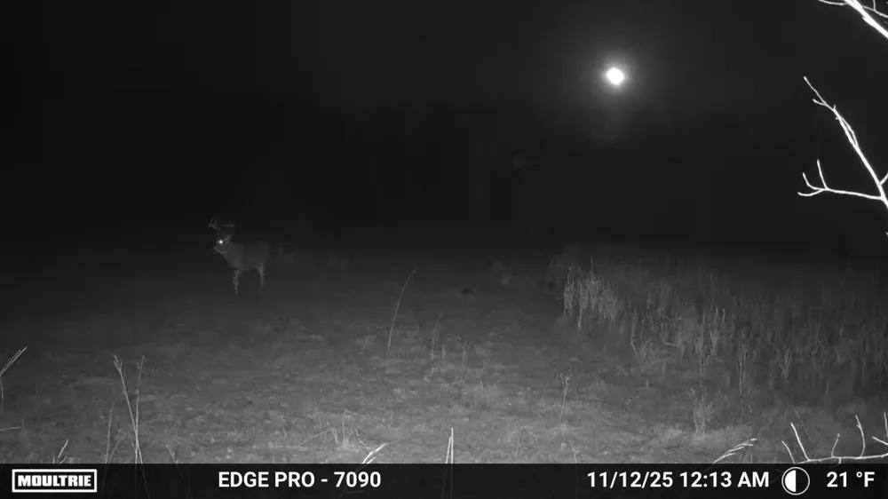 tbd 350th ave sw Lancaster, MN 56735