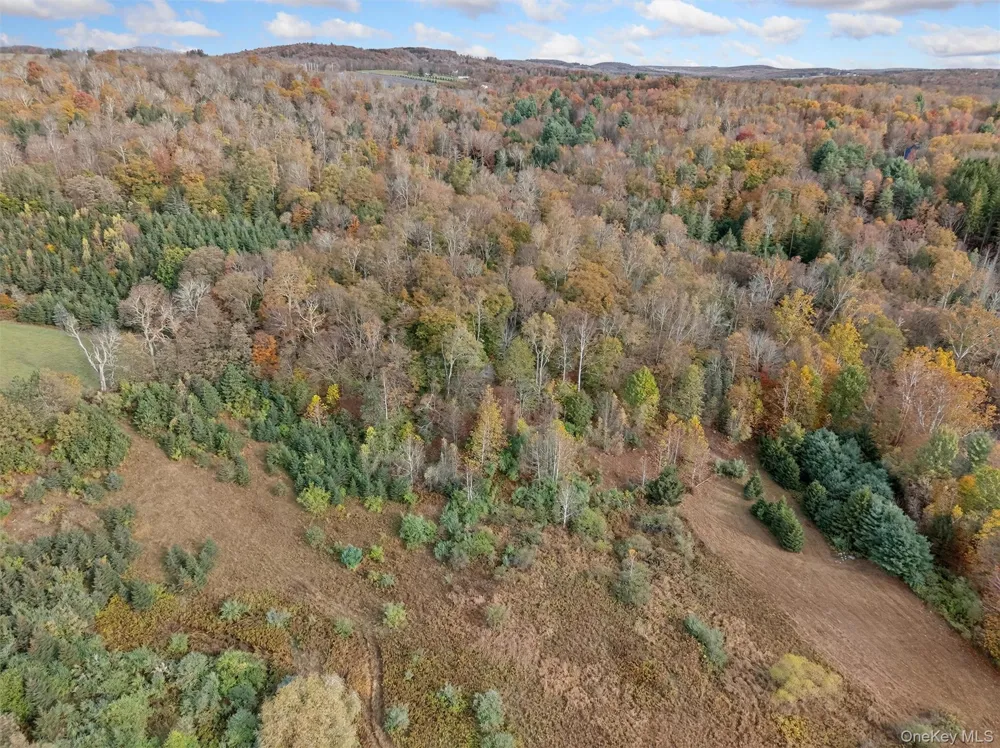 22 State Route 52A Kenoza Lake, NY 12750