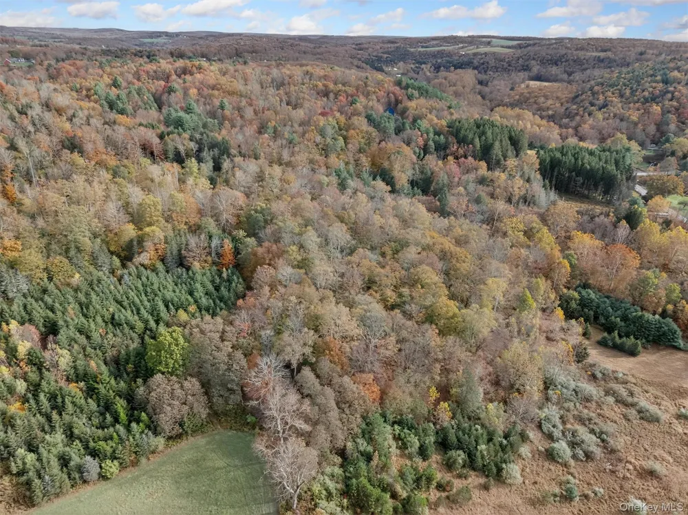 22 State Route 52A Kenoza Lake, NY 12750