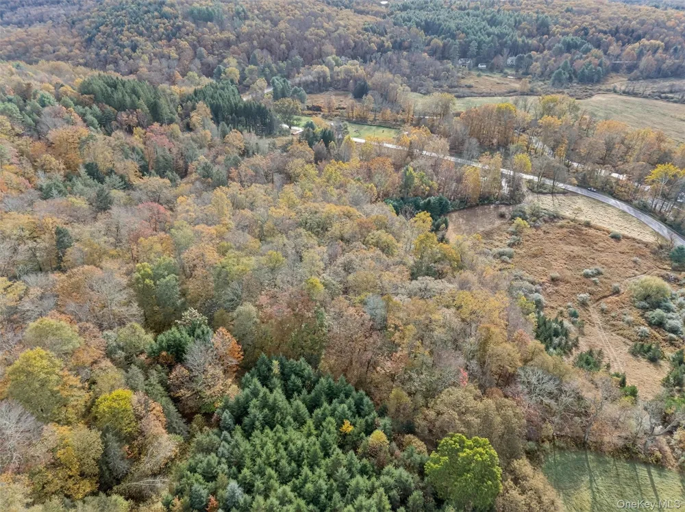 22 State Route 52A Kenoza Lake, NY 12750