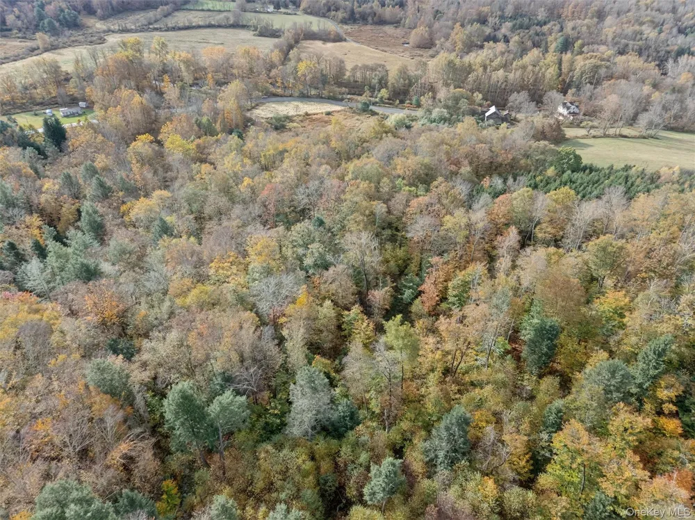 22 State Route 52A Kenoza Lake, NY 12750