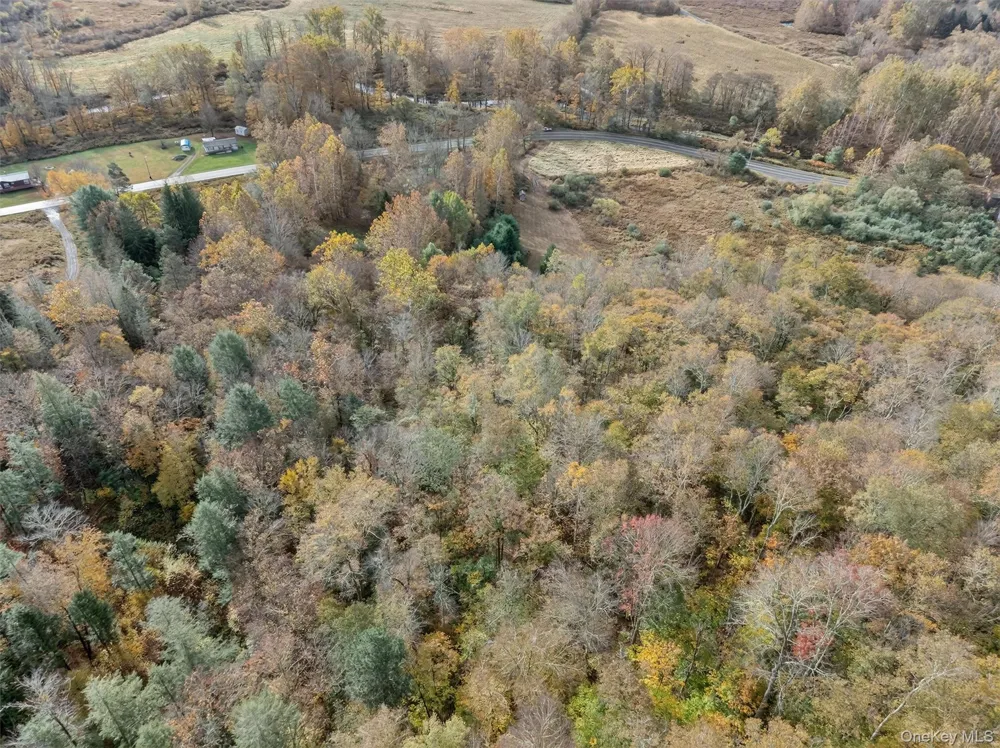 22 State Route 52A Kenoza Lake, NY 12750
