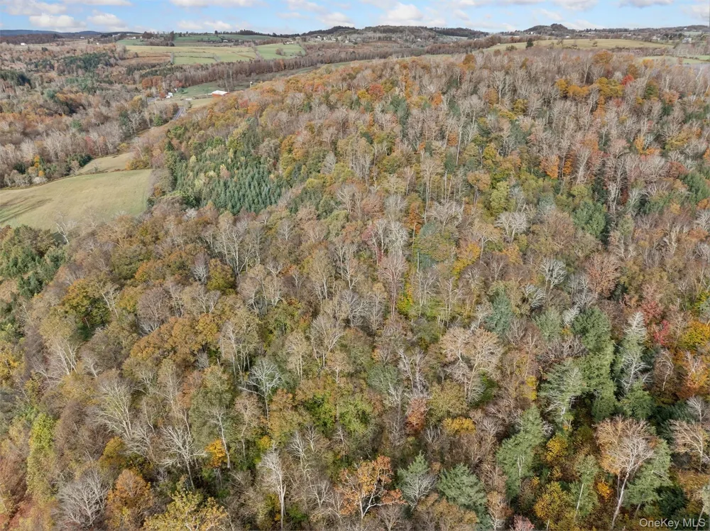 22 State Route 52A Kenoza Lake, NY 12750