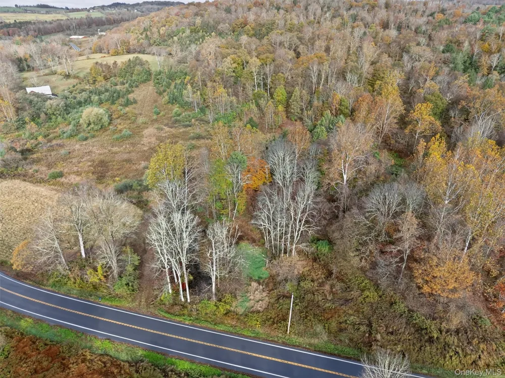 22 State Route 52A Kenoza Lake, NY 12750