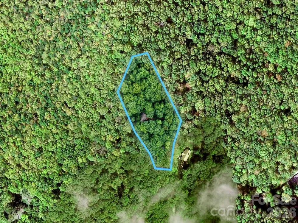 72 Wildflower Mountain Trail Candler, NC 28715