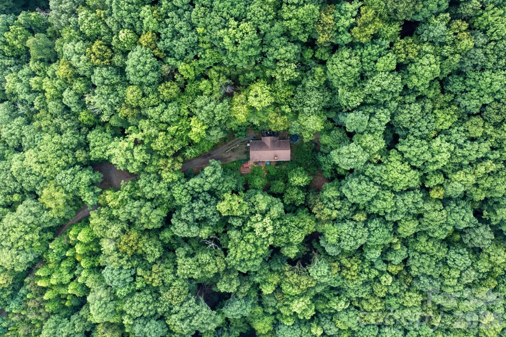 72 Wildflower Mountain Trail Candler, NC 28715