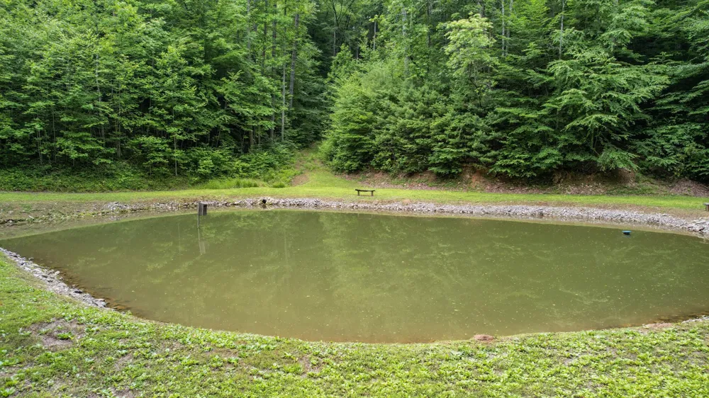 201 Campbell Branch Road Reliance, TN 37369