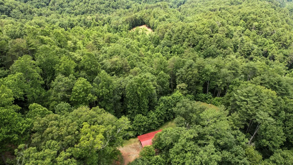 201 Campbell Branch Road Reliance, TN 37369