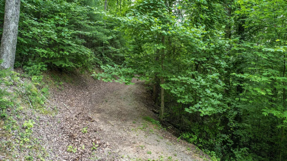 201 Campbell Branch Road Reliance, TN 37369