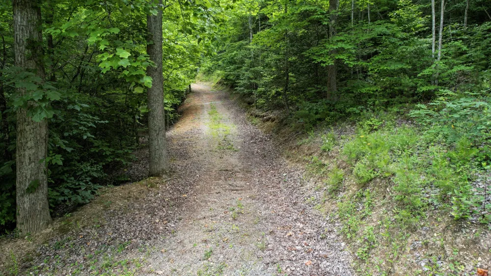 201 Campbell Branch Road Reliance, TN 37369