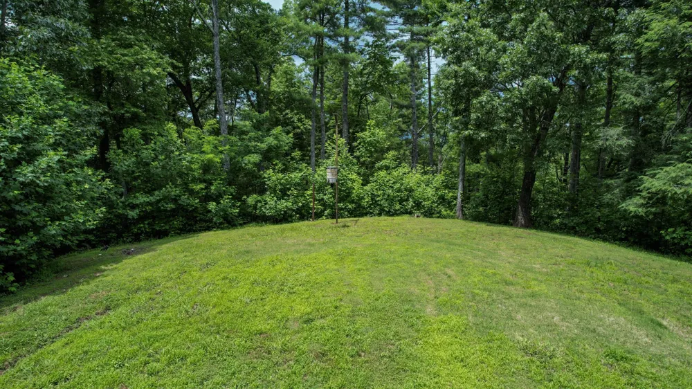 201 Campbell Branch Road Reliance, TN 37369
