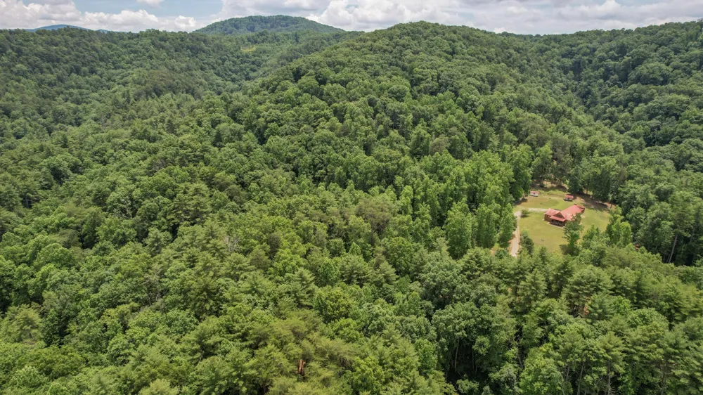 201 Campbell Branch Road Reliance, TN 37369