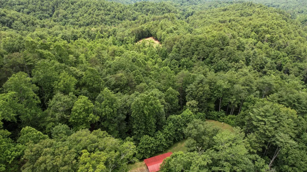 201 Campbell Branch Road Reliance, TN 37369