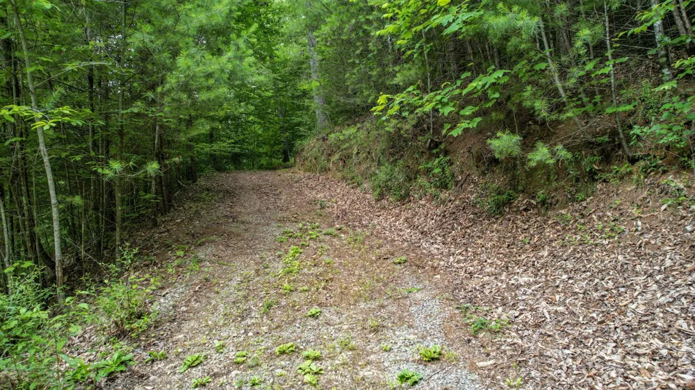 201 Campbell Branch Road Reliance, TN 37369
