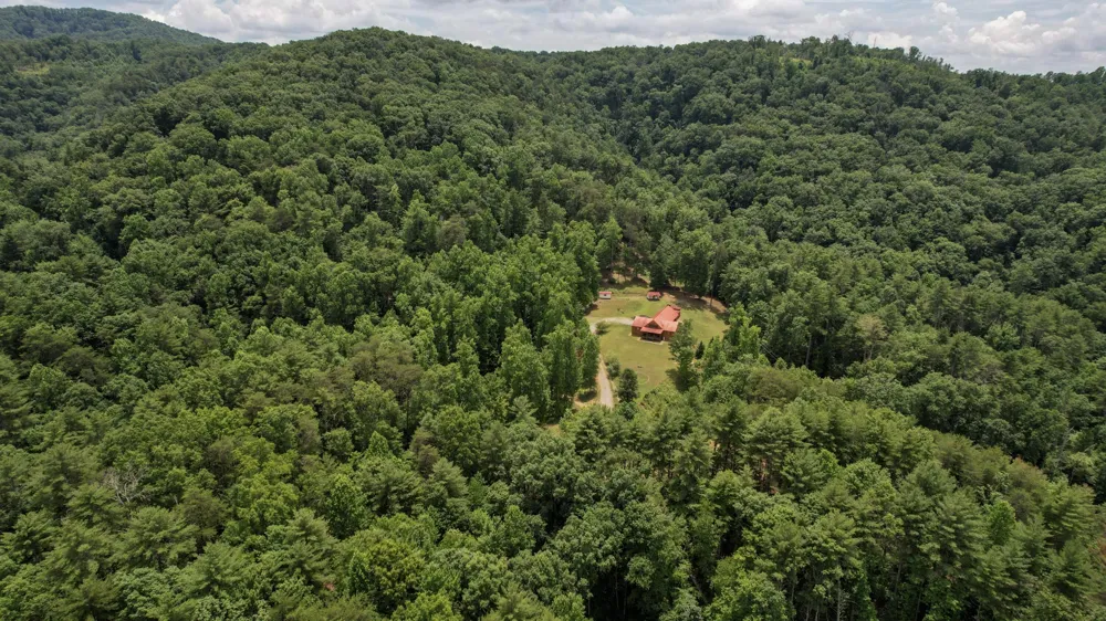 201 Campbell Branch Road Reliance, TN 37369