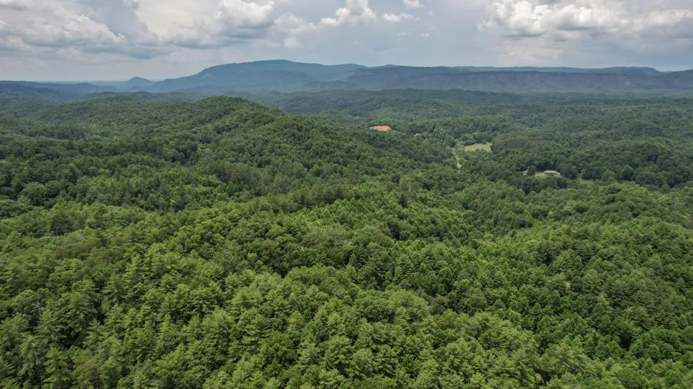 201 Campbell Branch Road Reliance, TN 37369