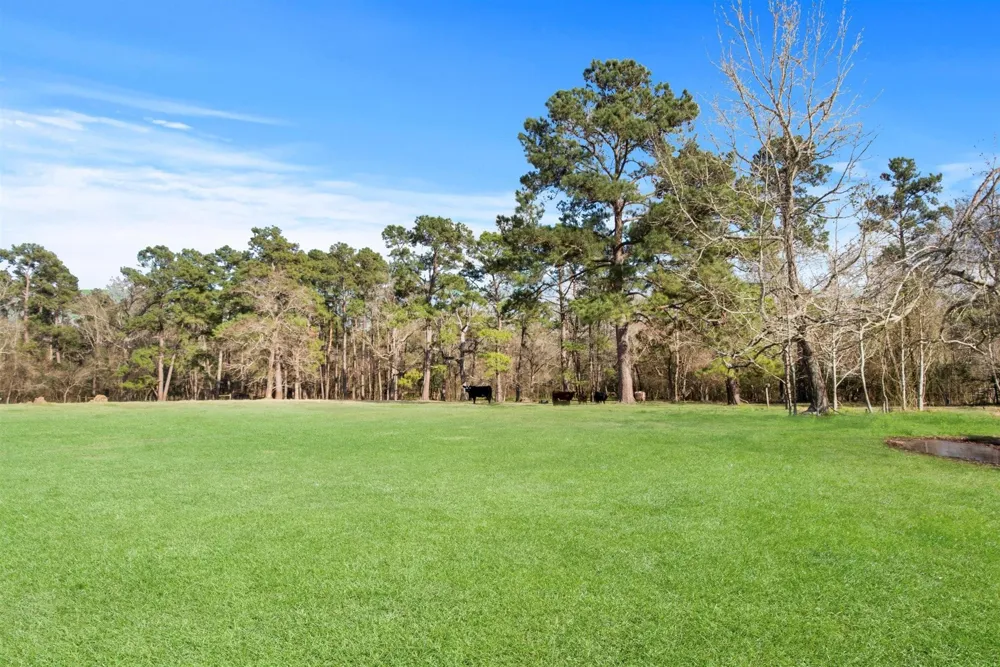 13259 Kidd Road Conroe, TX 77302