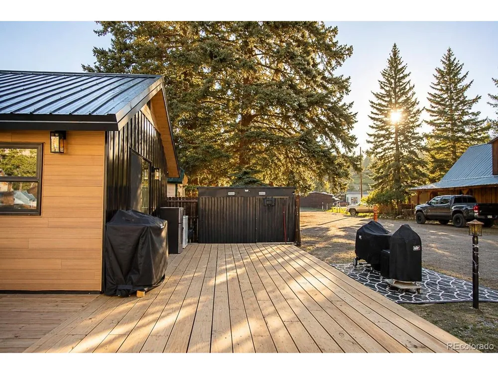 112 E 1st Street Creede, CO 81130