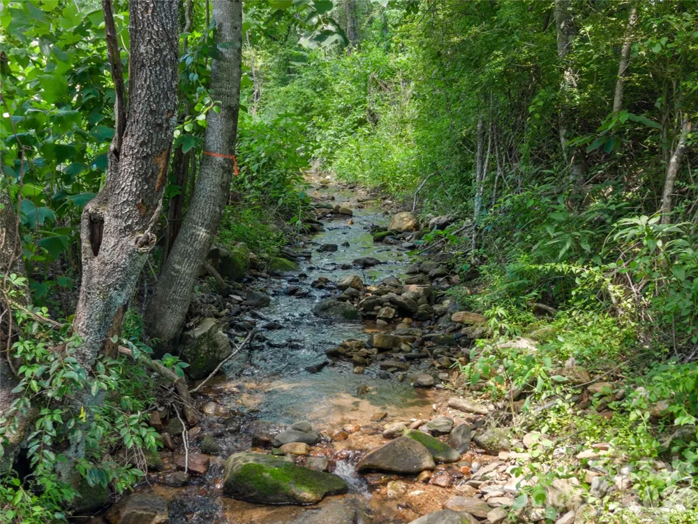 563 Burgess Road Mill Spring, NC 28756
