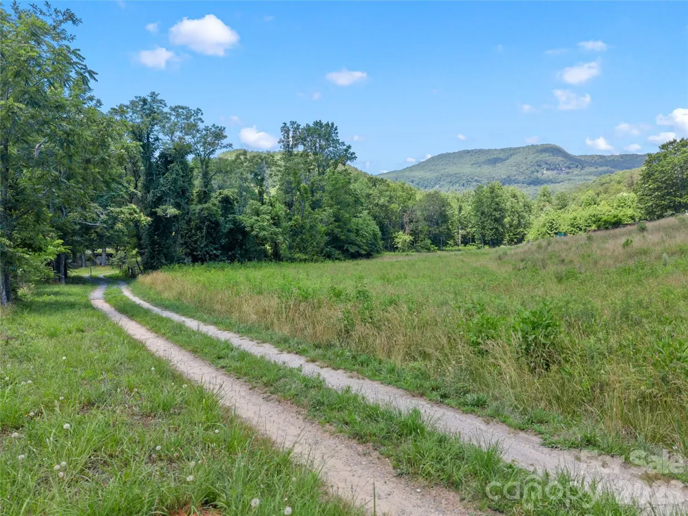 563 Burgess Road Mill Spring, NC 28756