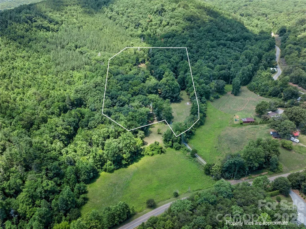 563 Burgess Road Mill Spring, NC 28756
