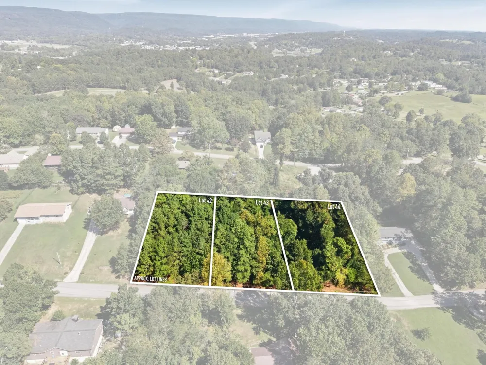 42 Troy Drive Dayton, TN 37321