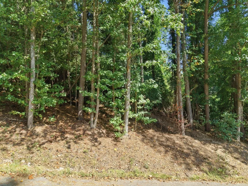 42 Troy Drive Dayton, TN 37321