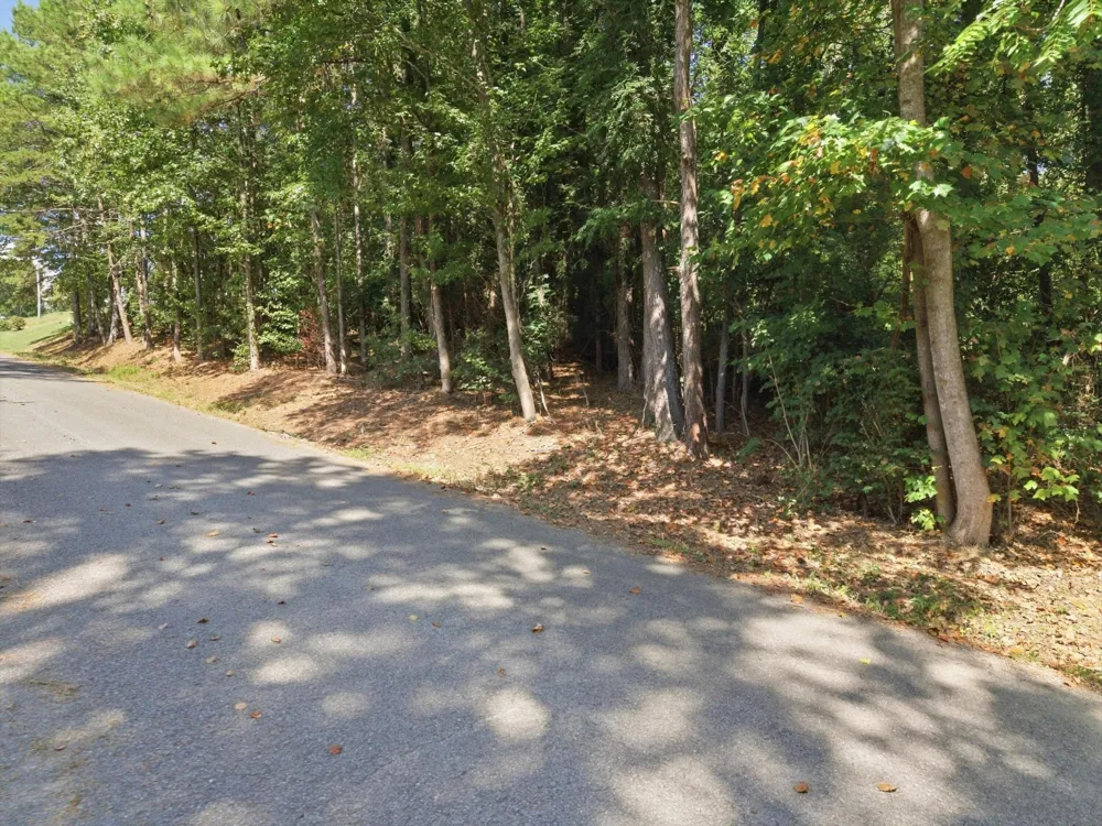 42 Troy Drive Dayton, TN 37321