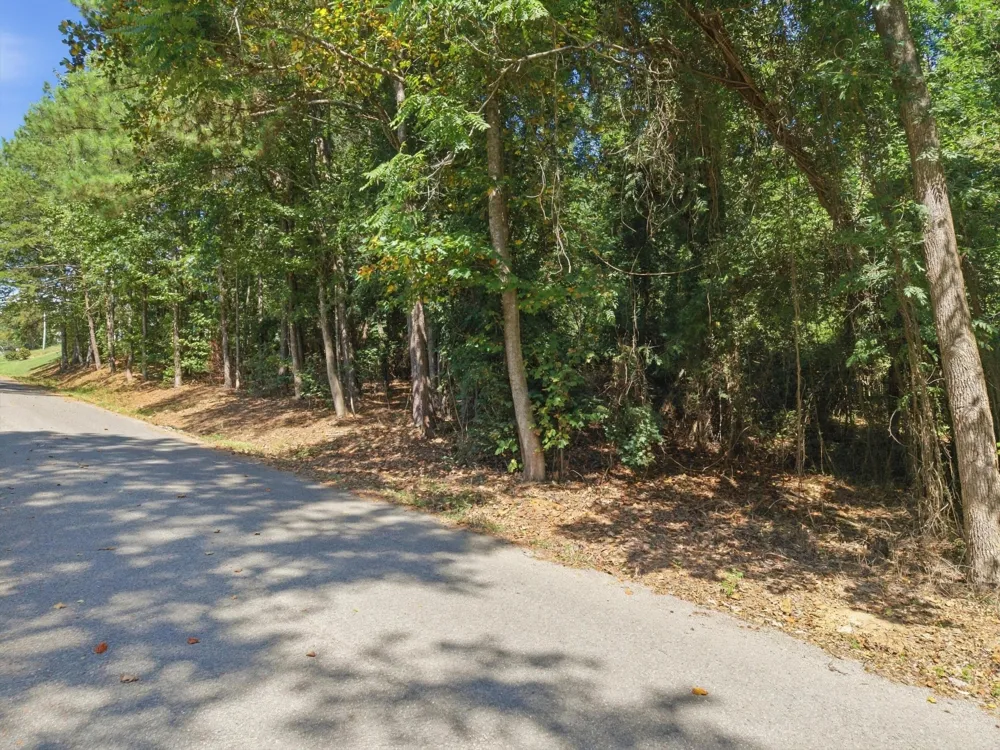 42 Troy Drive Dayton, TN 37321