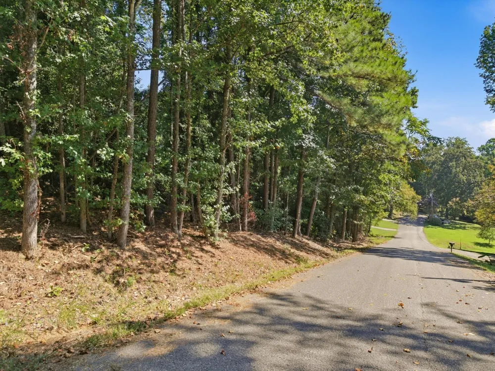 42 Troy Drive Dayton, TN 37321