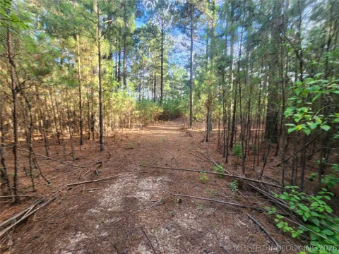 County Road