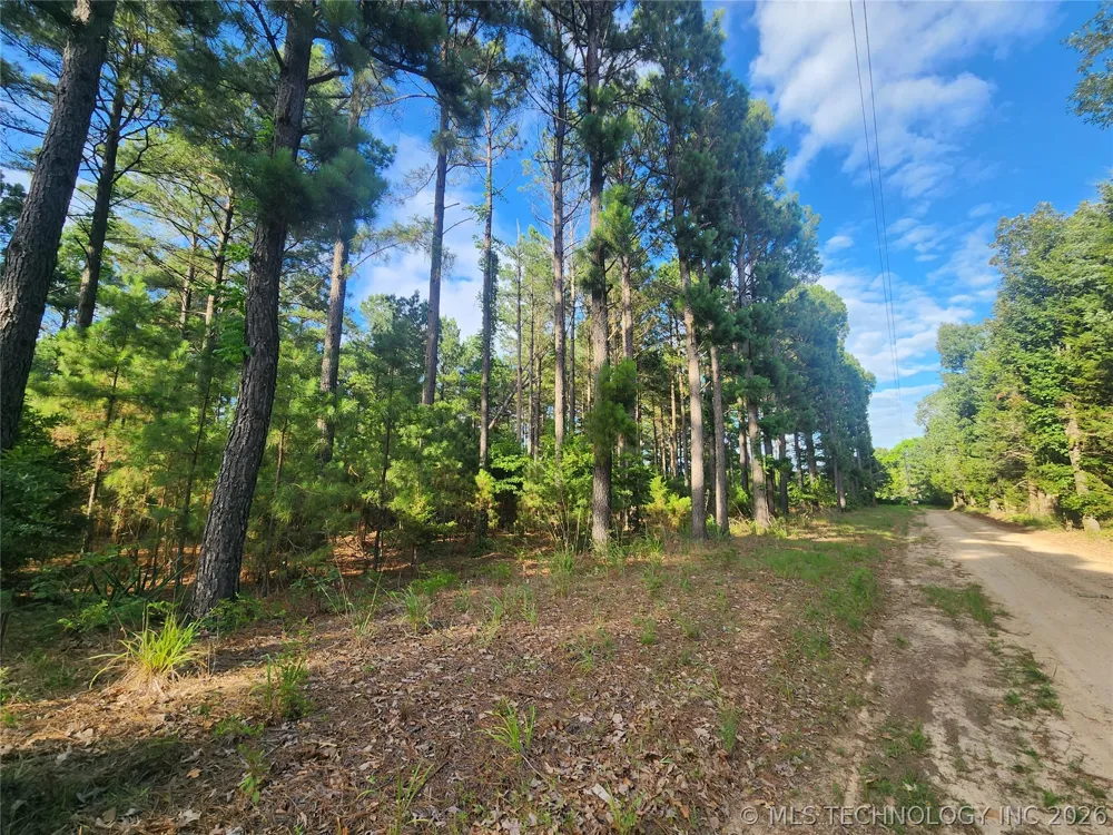 County Road Hugo, OK 74743
