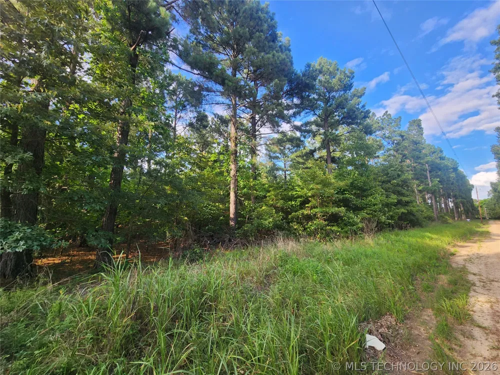 County Road Hugo, OK 74743