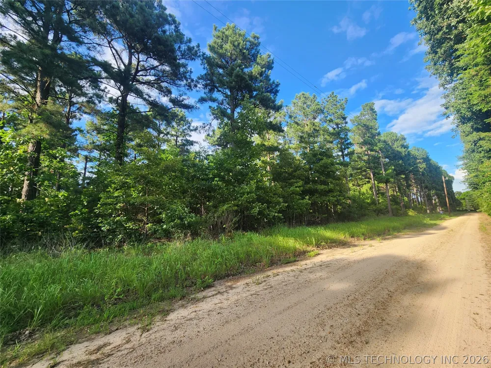 County Road Hugo, OK 74743