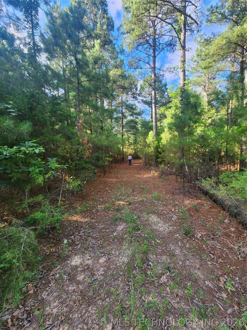 County Road Hugo, OK 74743