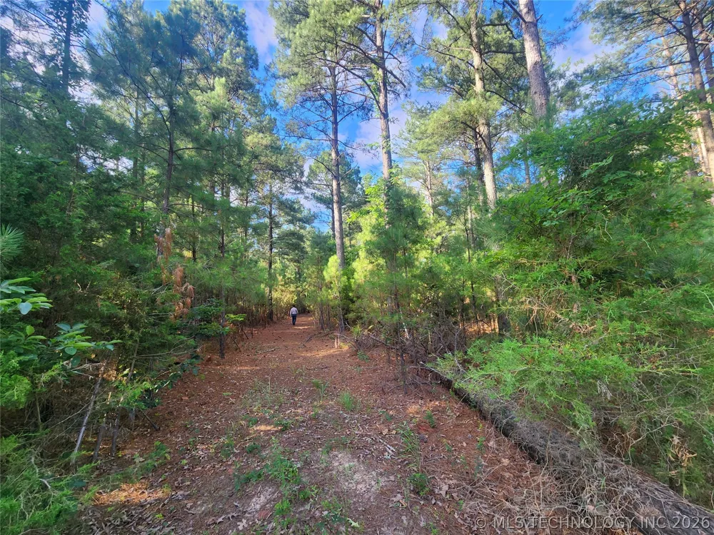 County Road Hugo, OK 74743