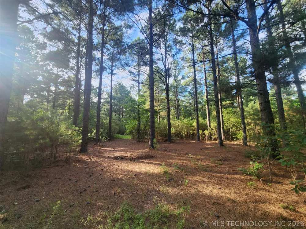 County Road Hugo, OK 74743